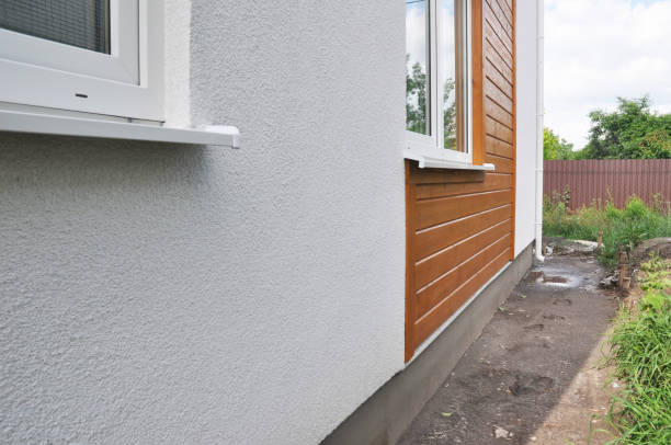 Best Custom Trim and Detailing for Siding  in Claxton, GA
